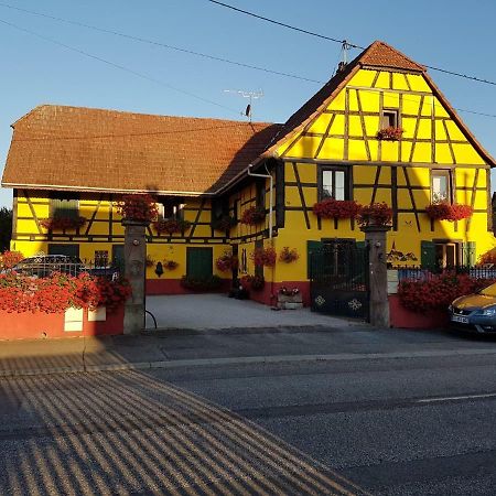 Maison Alsacienne A Andolsheim Lejlighed Eksteriør billede